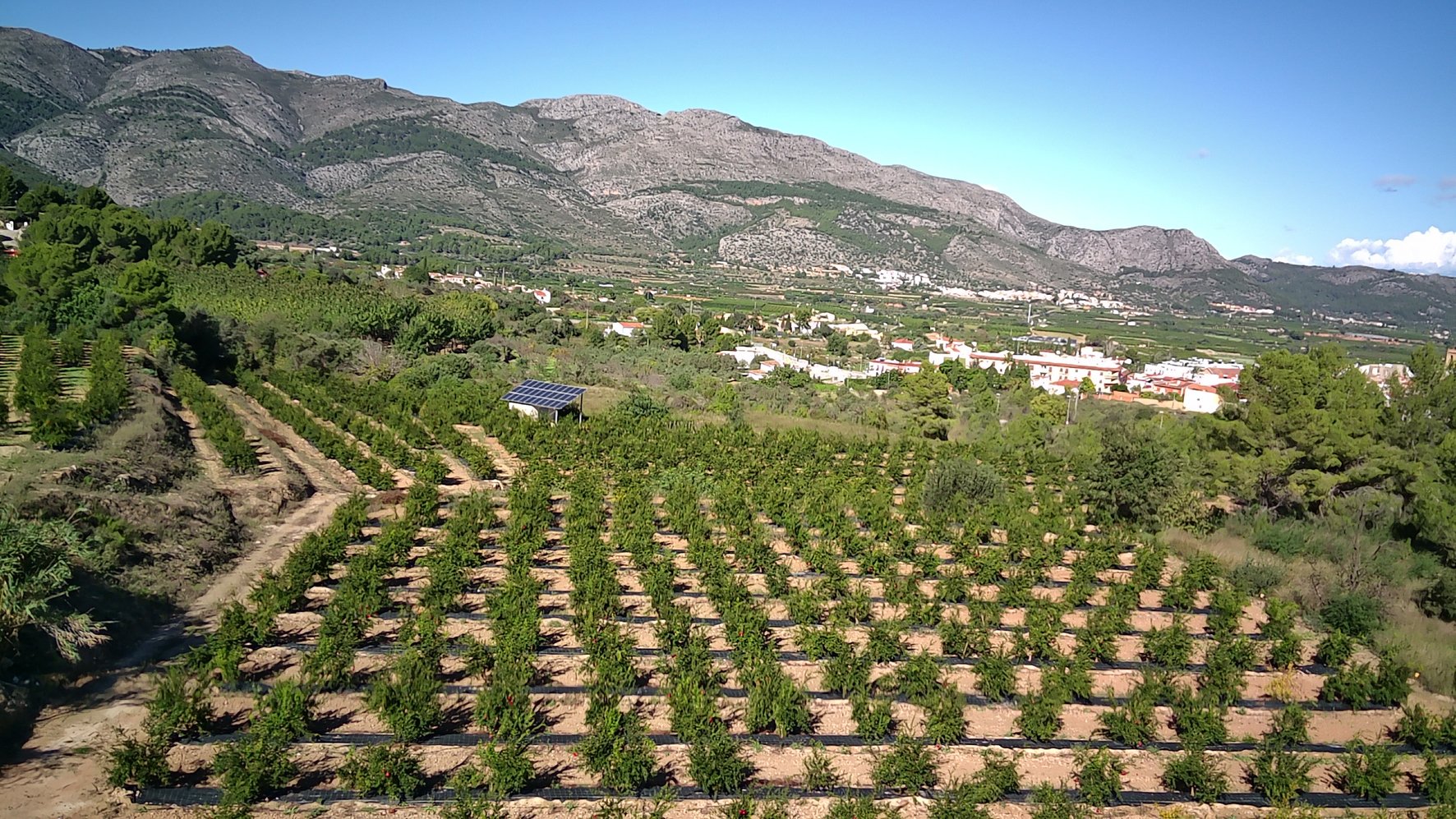 Parcela en Orba, Alicante, España No. 80478