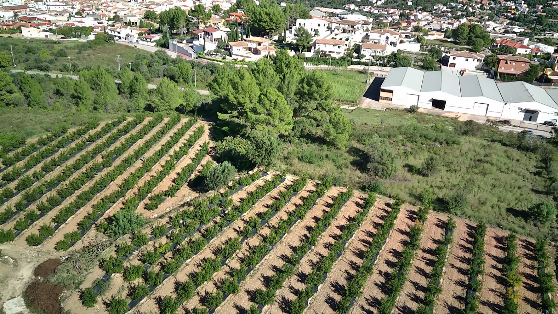 Parcela en Orba, Alicante, España No. 80478