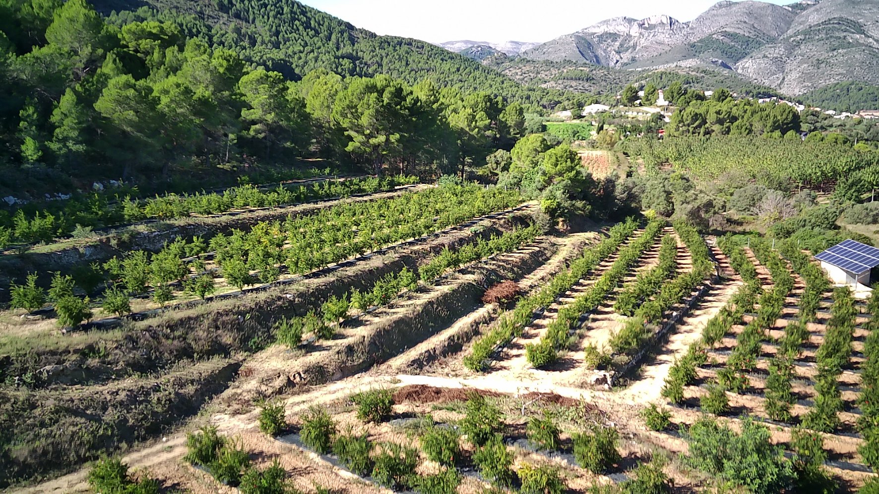 Parcela en Orba, Alicante, España No. 80478