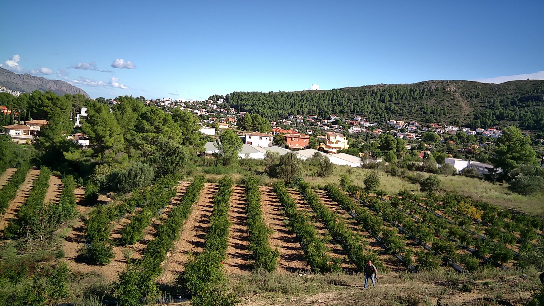 Parcela en Orba, Alicante, España No. 80478