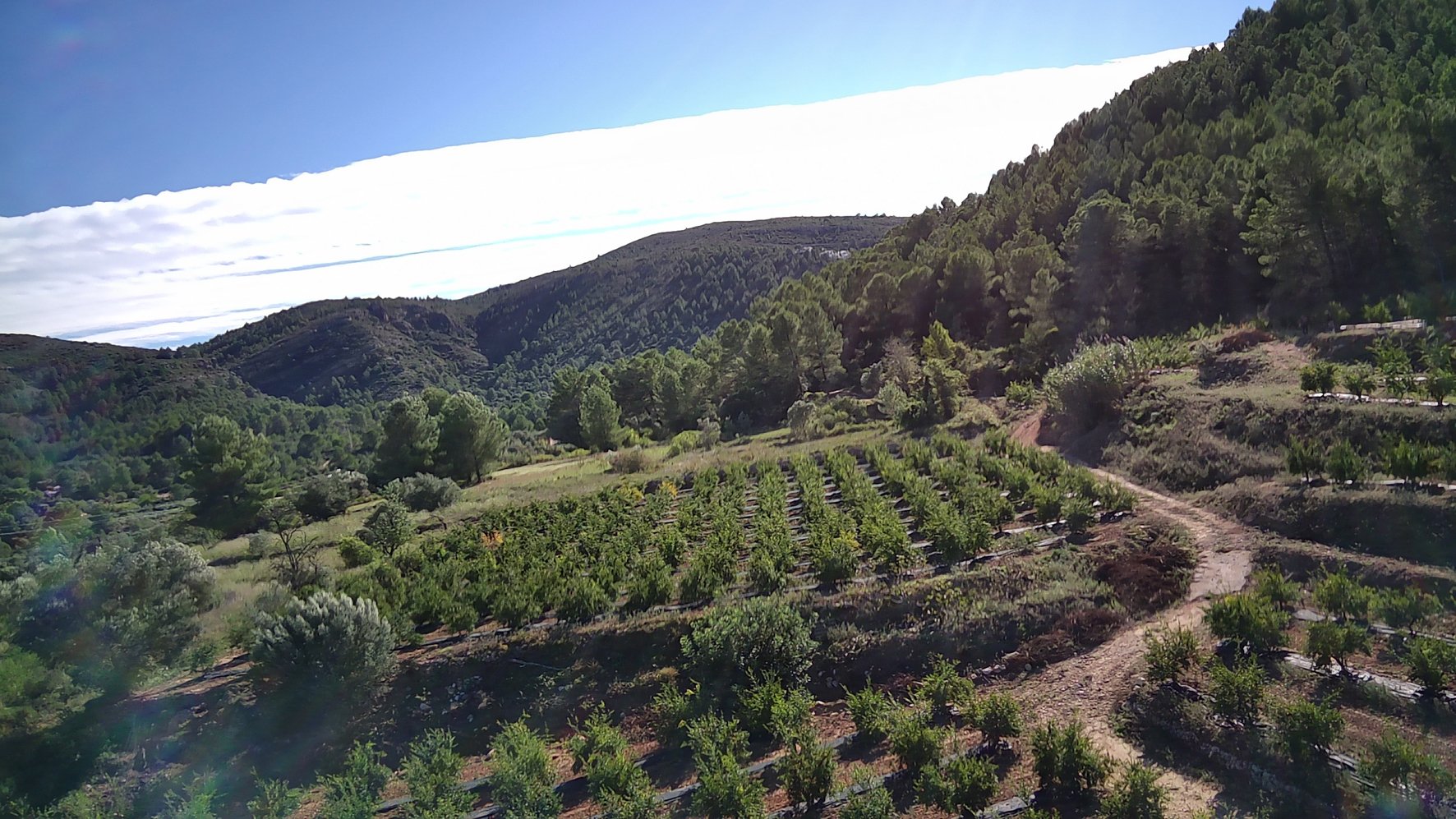 Parcela en Orba, Alicante, España No. 80478