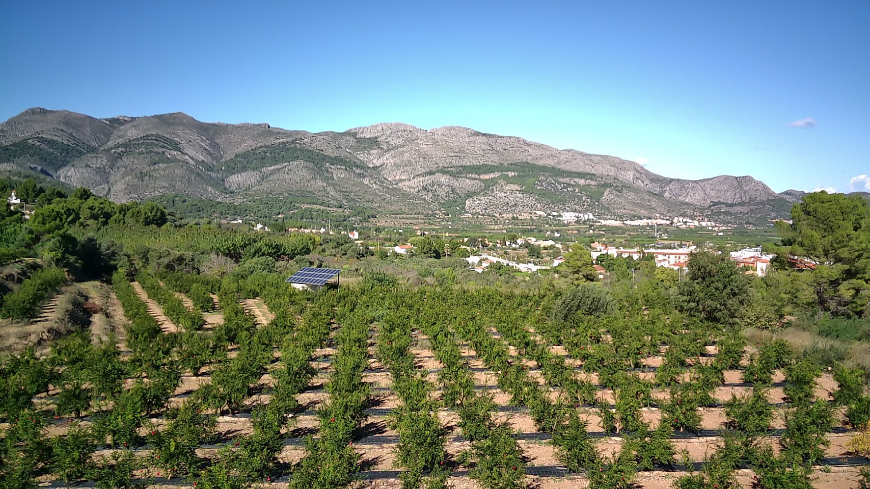 Parcela en Orba, Alicante, España No. 80478