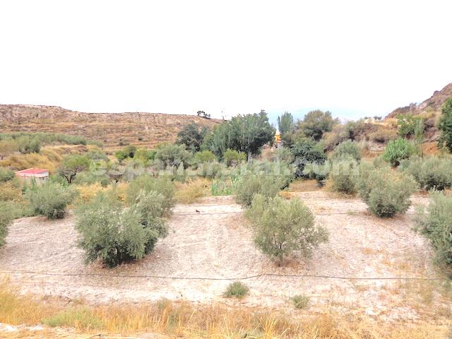 Дом в Лукар, Альмерия, Испания 5 спален, 164м2 №78034