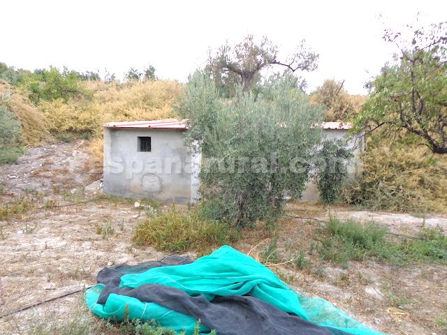 Дом в Лукар, Альмерия, Испания 5 спален, 164м2 №78034