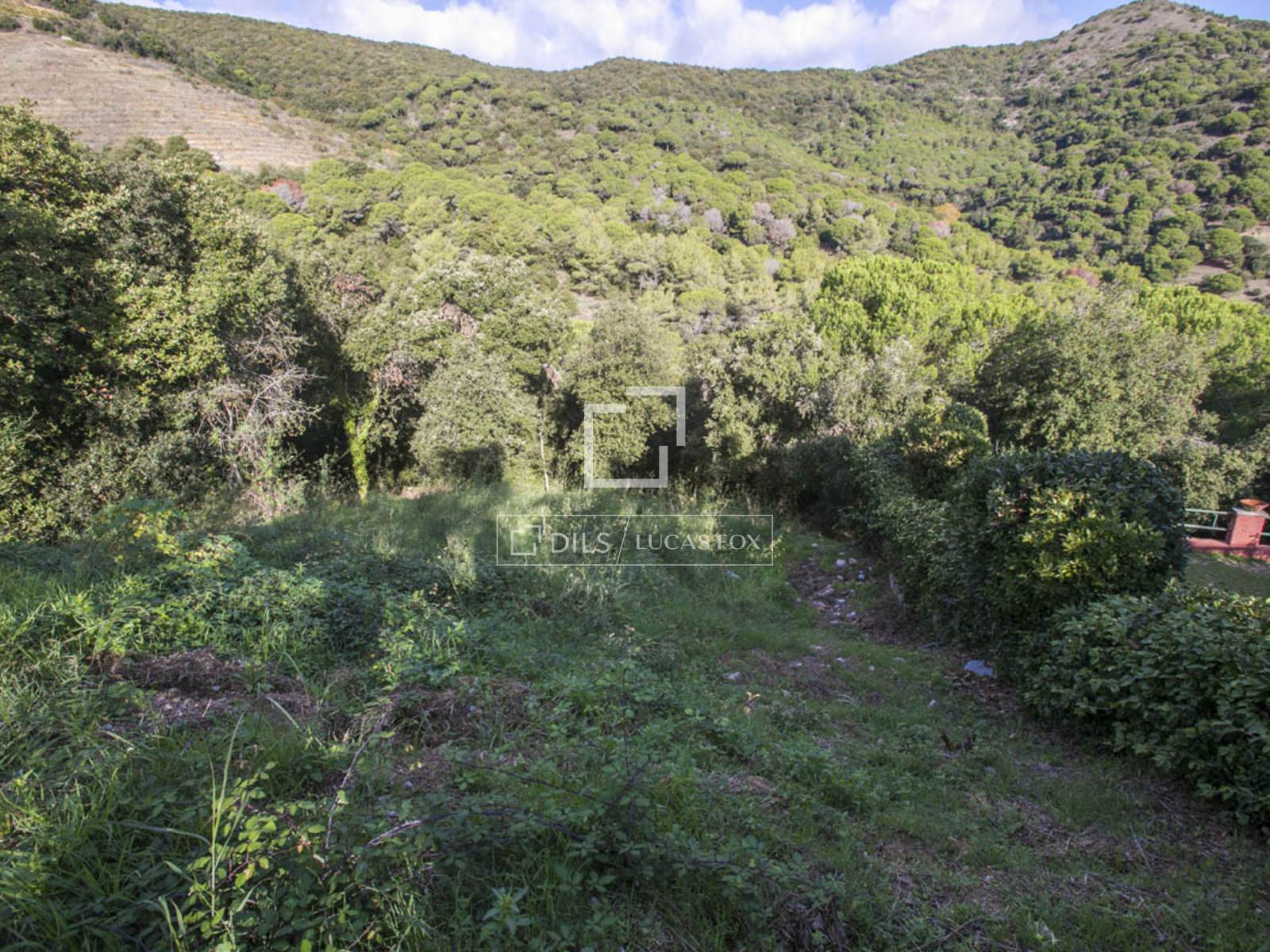 Land in Alella, Barcelona, Spanien Nr. 192561