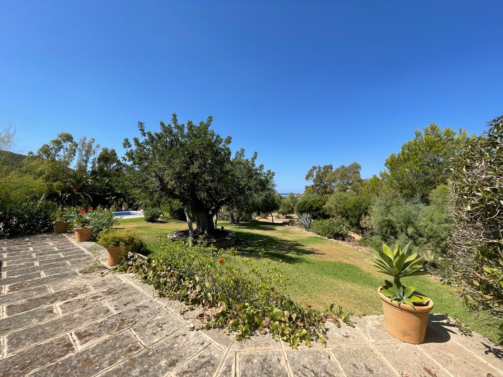 Finca en Andratx, Mallorca, España 7 dormitorios, 1126 m2 No. 148592