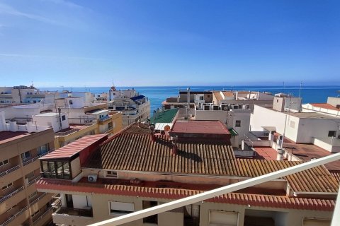 Lägenhet i Torrevieja, Alicante, Spanien 3 sovrum, 101 kvm. Nr. 195263