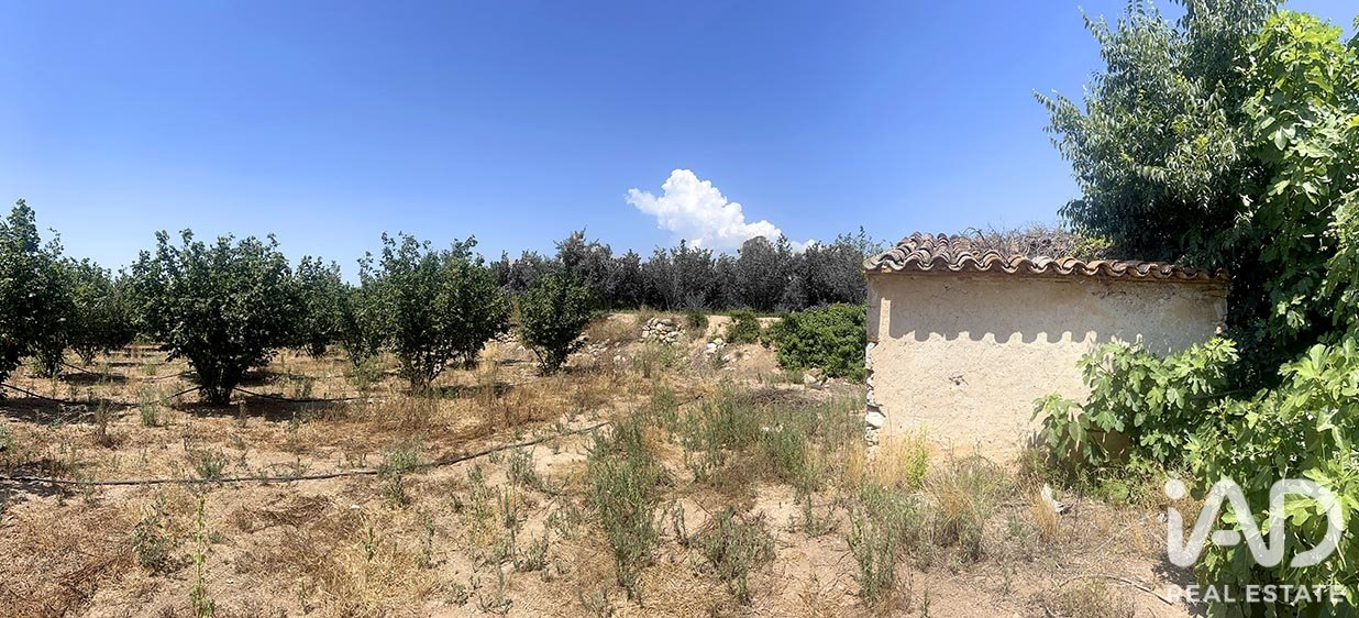 Commercial property à Vallmoll, Tarragona, Espagne No. 193529