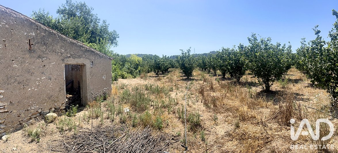 Commercial property à Vallmoll, Tarragona, Espagne No. 193529