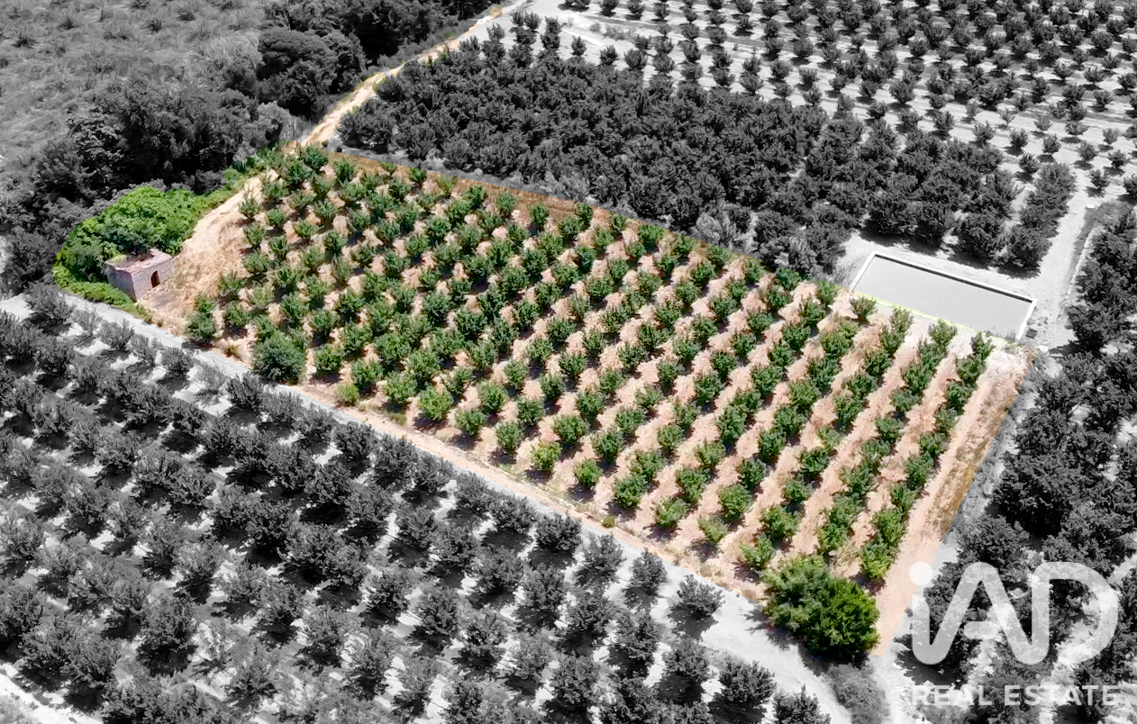 Commercial property à Vallmoll, Tarragona, Espagne No. 193529