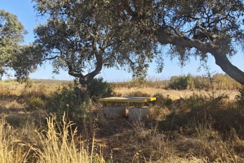 Działka w Villablanca, Huelva, Hiszpania 9332 mkw. nr 185572