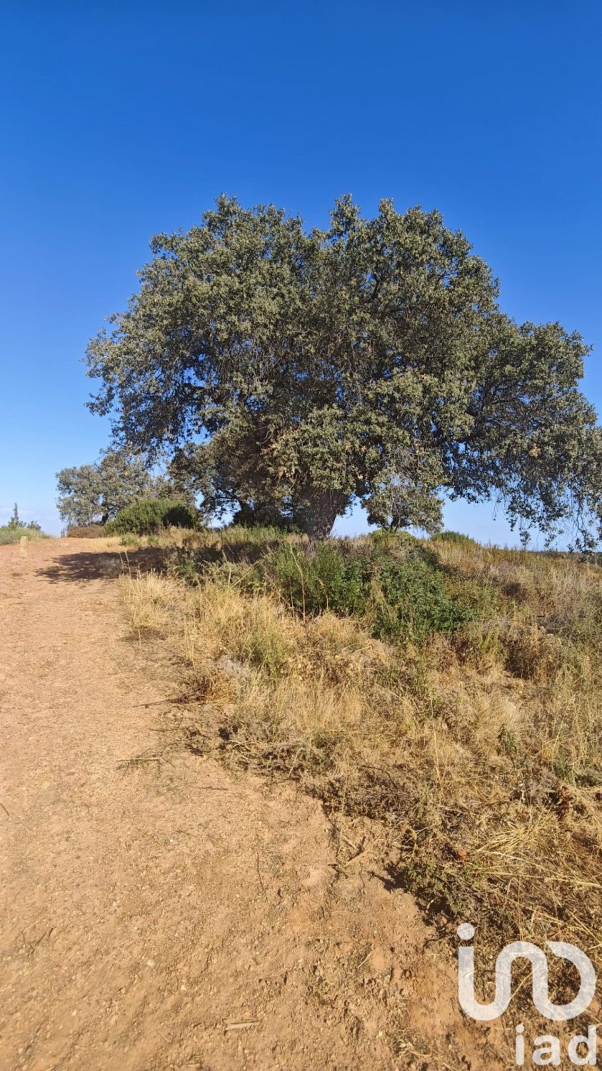 Zemes gabals Villablanca, Huelva, Spānijā 9332 m2 Nr. 185572