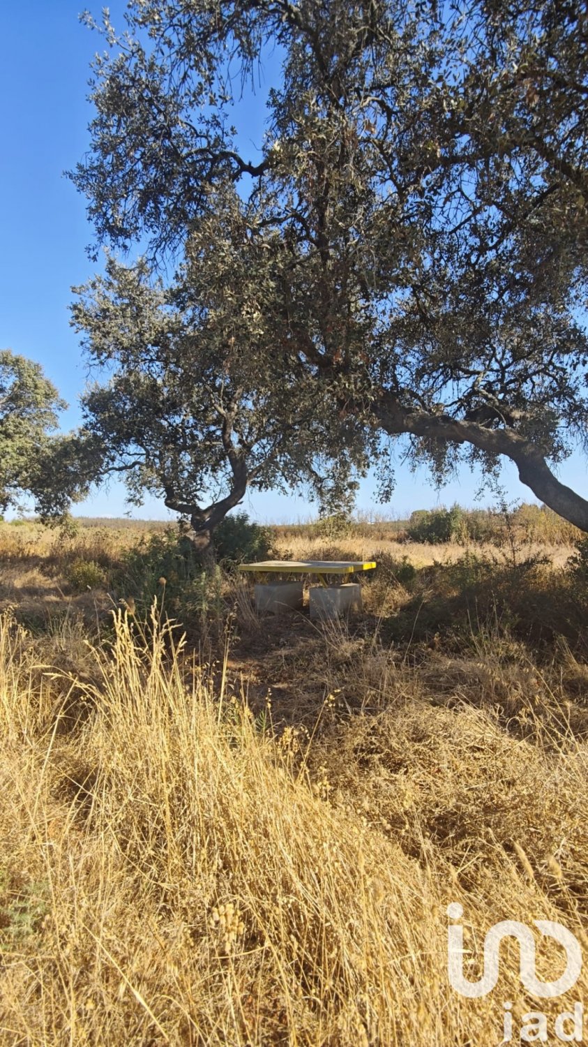 Zemes gabals Villablanca, Huelva, Spānijā 9332 m2 Nr. 185572