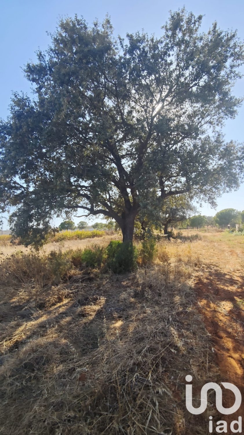 Zemes gabals Villablanca, Huelva, Spānijā 9332 m2 Nr. 185572