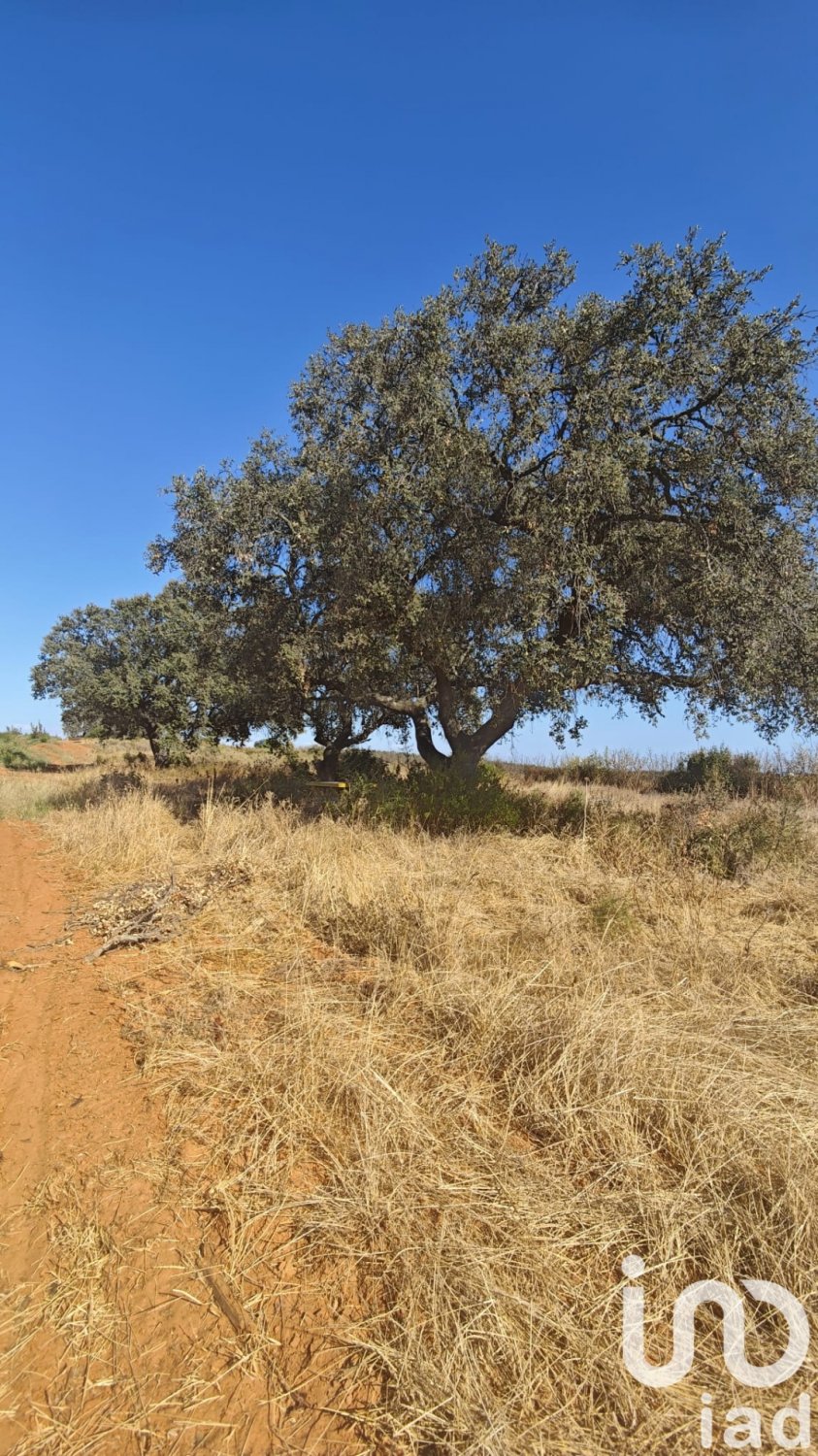Zemes gabals Villablanca, Huelva, Spānijā 9332 m2 Nr. 185572