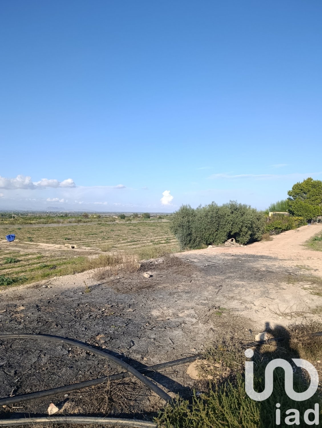Tontti Elche, Alicante, Espanja 28329 m2 No. 185575