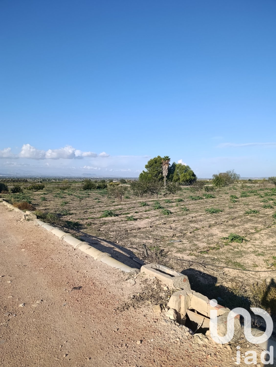 Tontti Elche, Alicante, Espanja 28329 m2 No. 185575