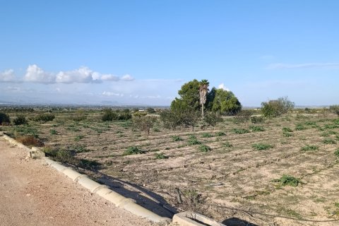 Działka w Elche, Alicante, Hiszpania 28329 mkw. nr 185575