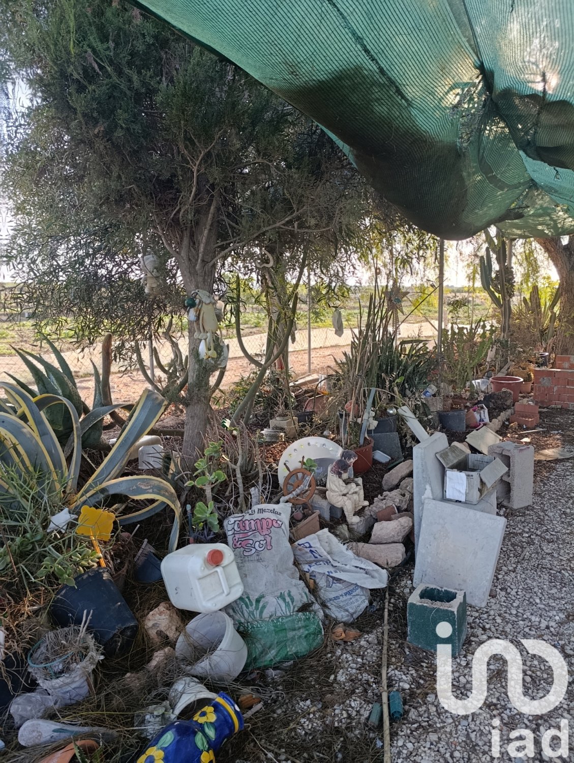 Tontti Elche, Alicante, Espanja 28329 m2 No. 185575