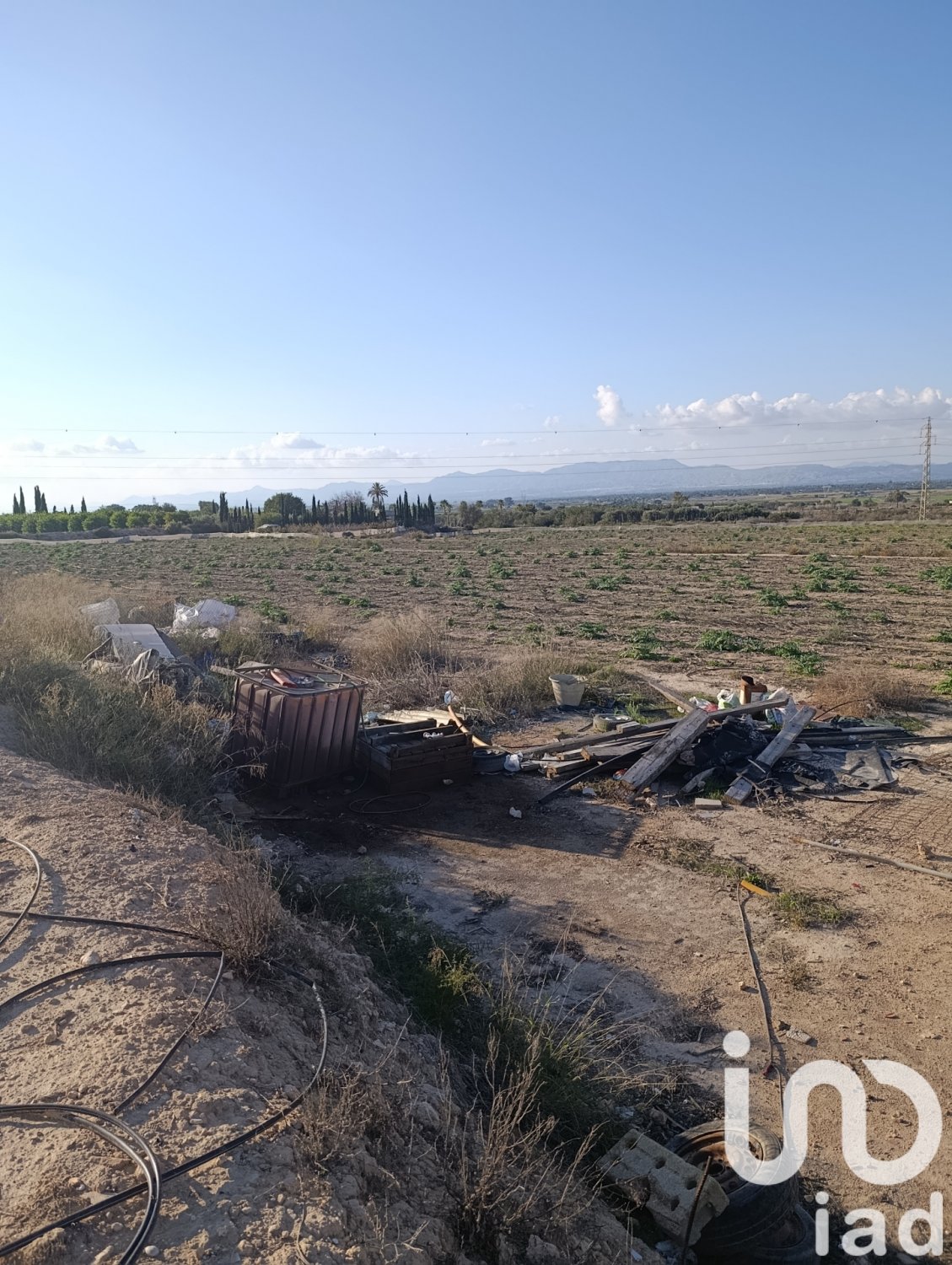Tontti Elche, Alicante, Espanja 28329 m2 No. 185575