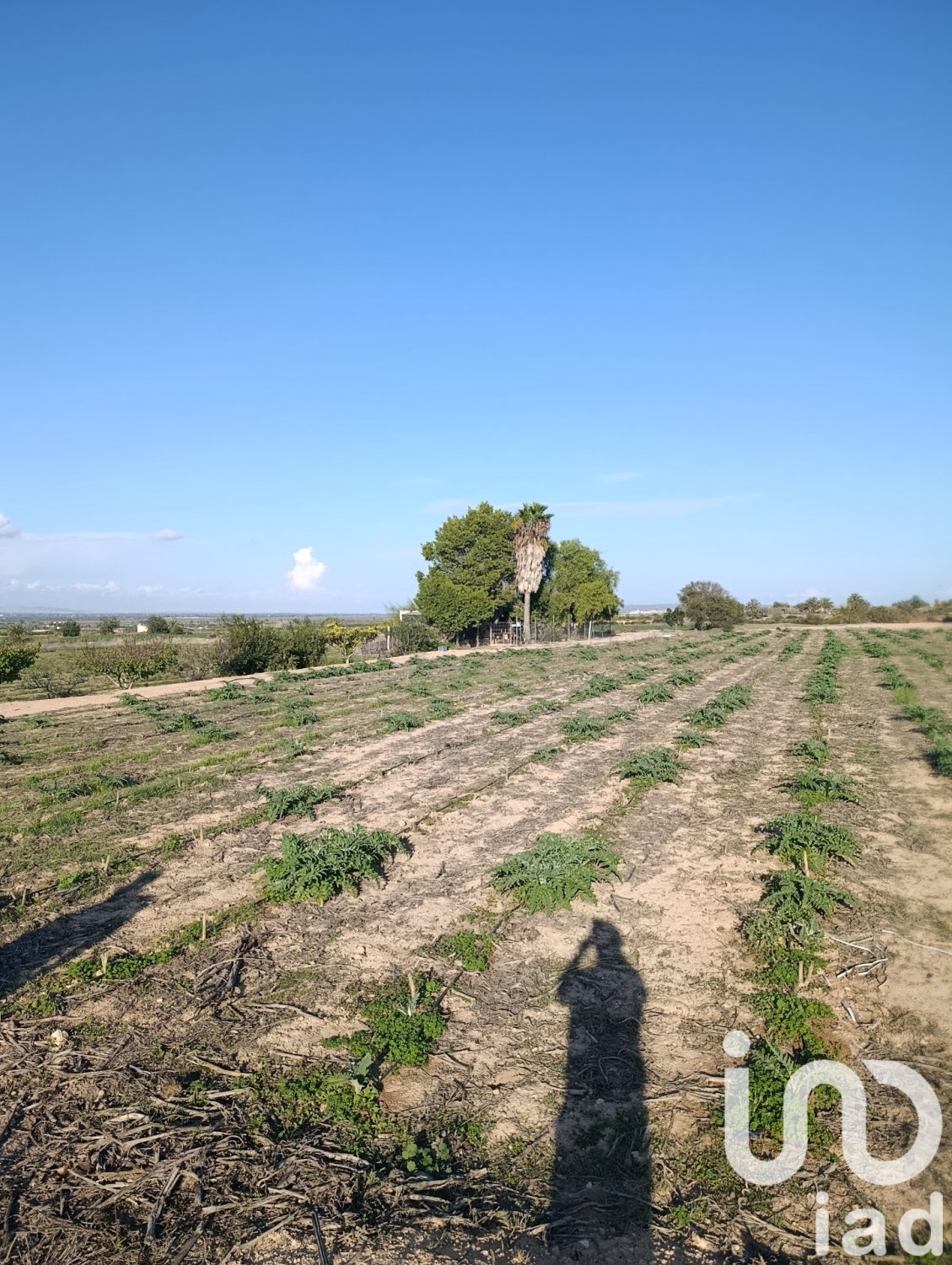 Tontti Elche, Alicante, Espanja 28329 m2 No. 185575