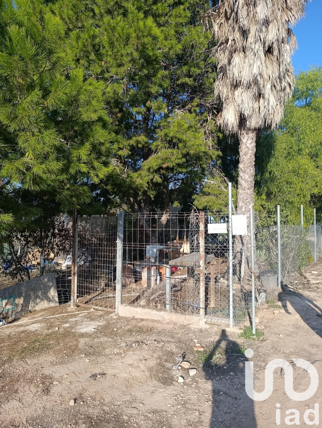 Tontti Elche, Alicante, Espanja 28329 m2 No. 185575