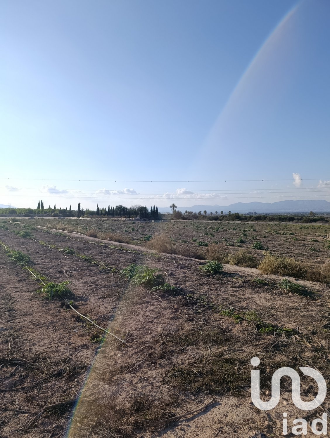 Tontti Elche, Alicante, Espanja 28329 m2 No. 185575