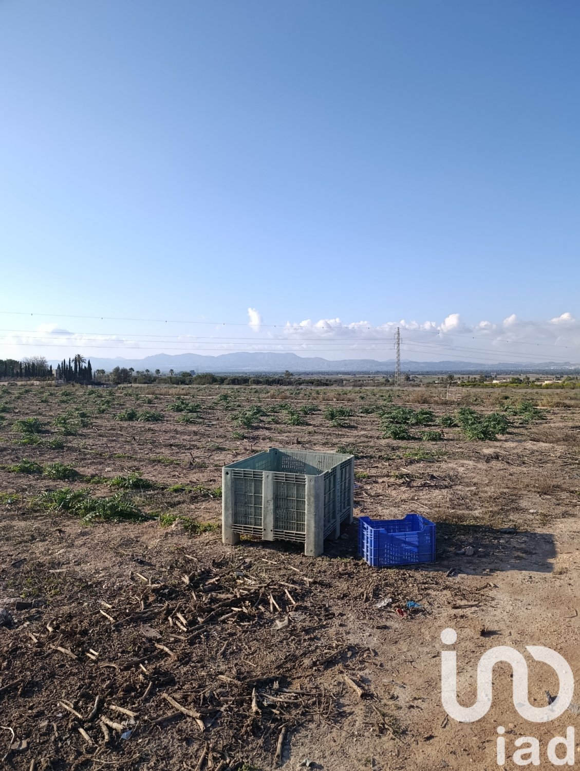 Tontti Elche, Alicante, Espanja 28329 m2 No. 185575