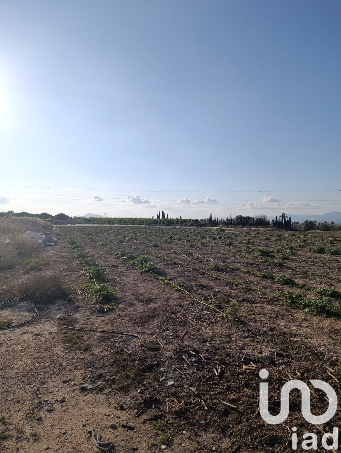 Tontti Elche, Alicante, Espanja 28329 m2 No. 185575