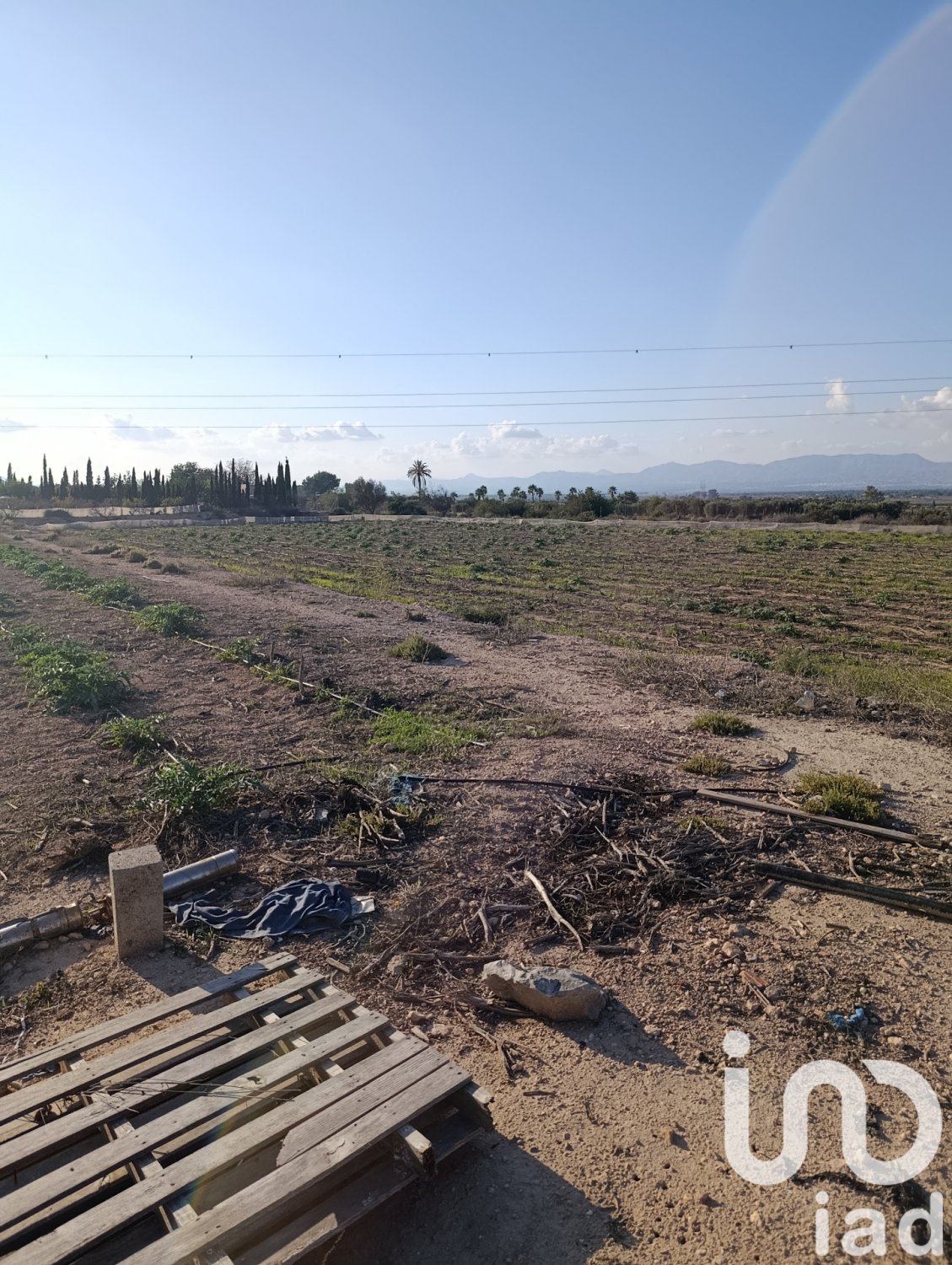 Tontti Elche, Alicante, Espanja 28329 m2 No. 185575