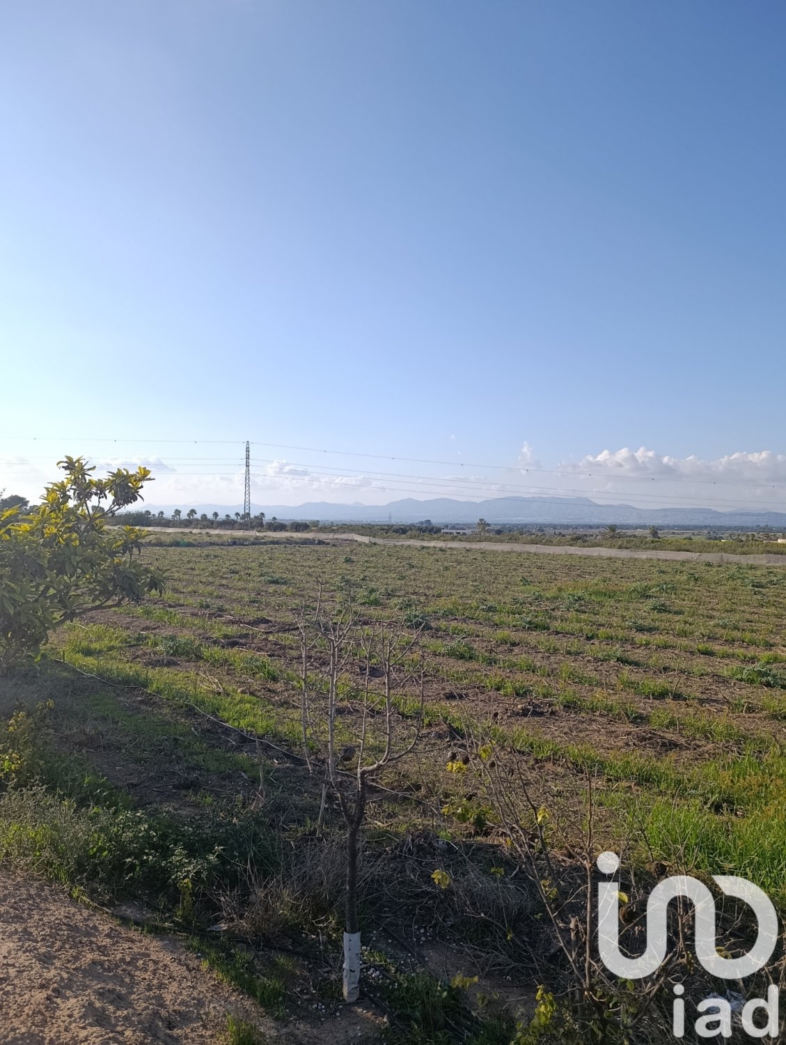 Tontti Elche, Alicante, Espanja 28329 m2 No. 185575