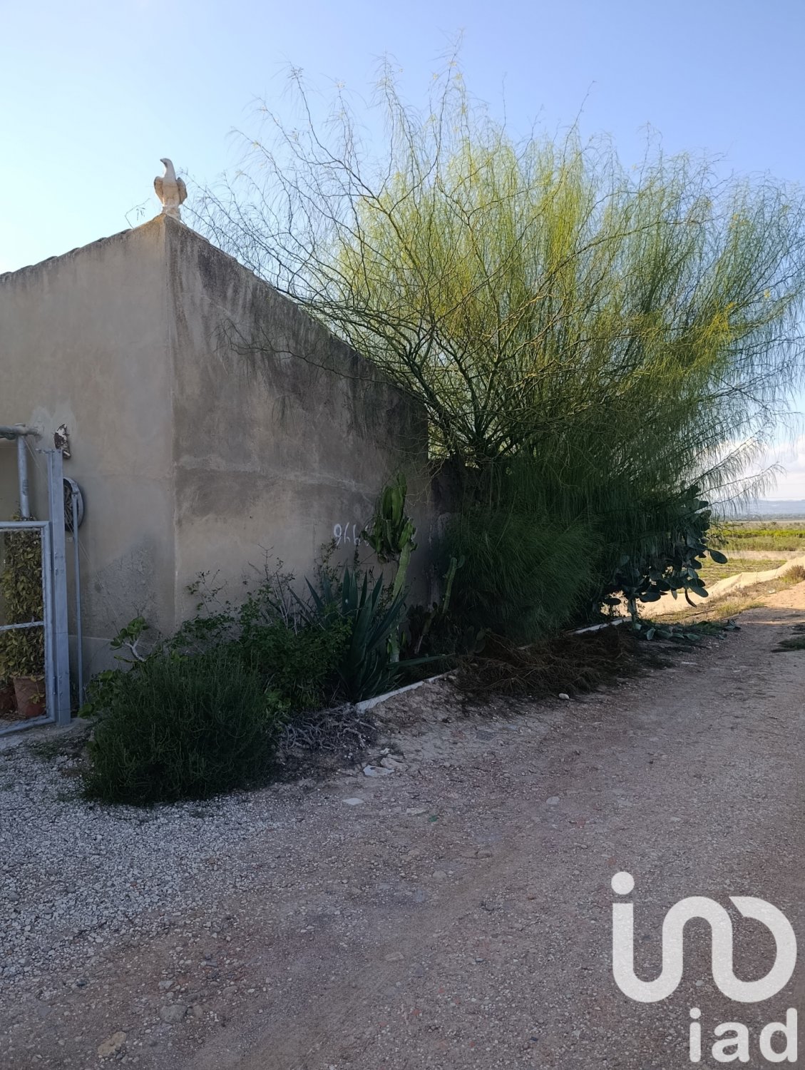 Tontti Elche, Alicante, Espanja 28329 m2 No. 185575
