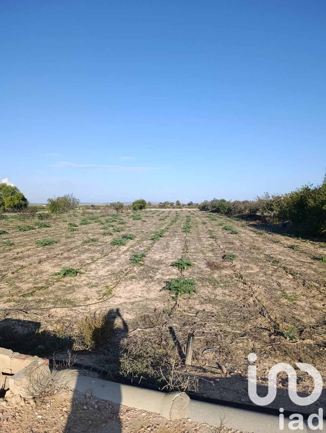 Tontti Elche, Alicante, Espanja 28329 m2 No. 185575