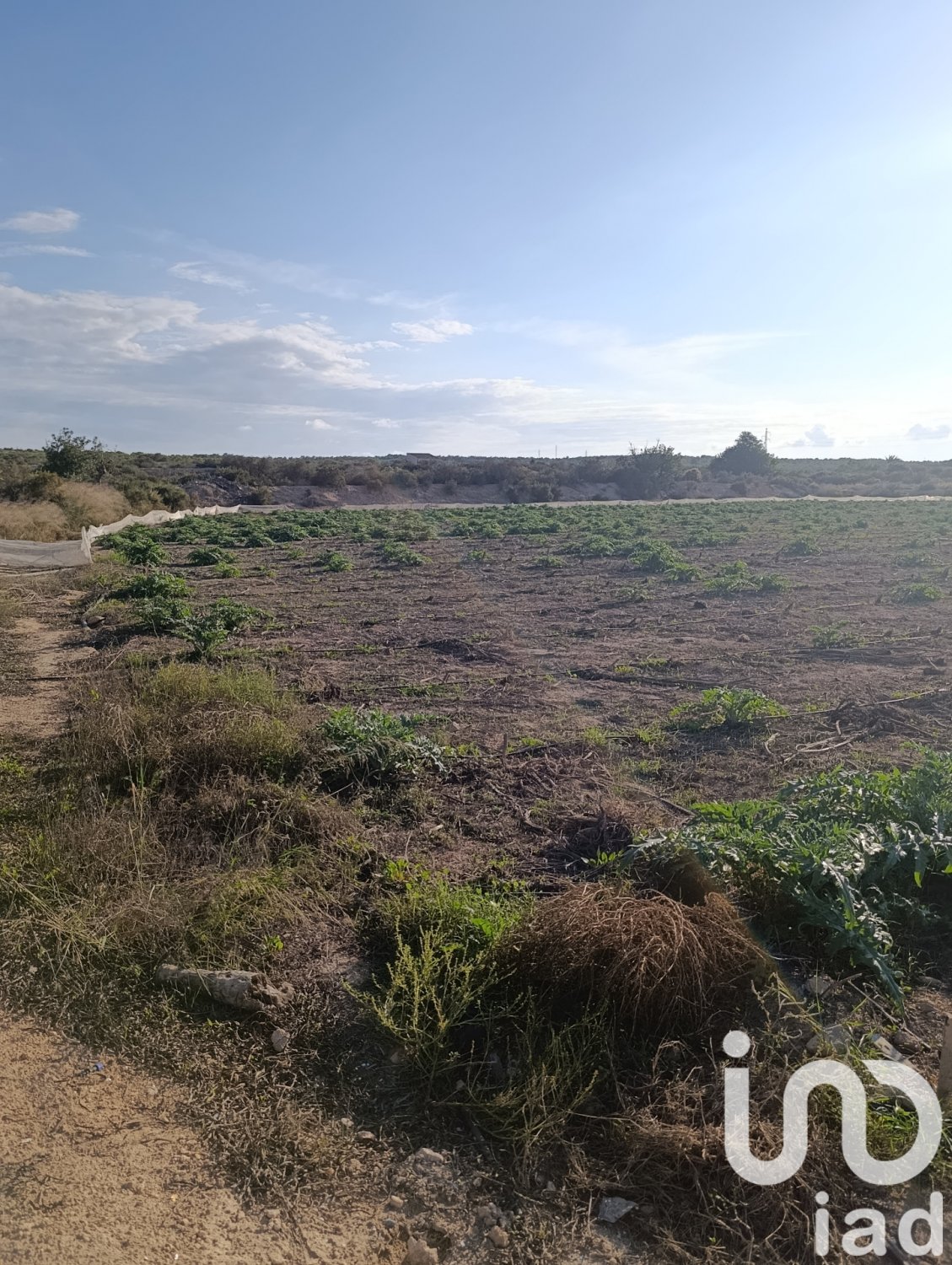 Tontti Elche, Alicante, Espanja 28329 m2 No. 185575