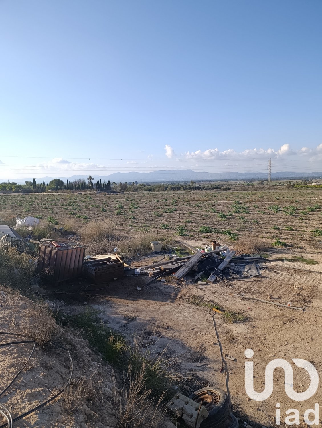 Tontti Elche, Alicante, Espanja 28329 m2 No. 185575