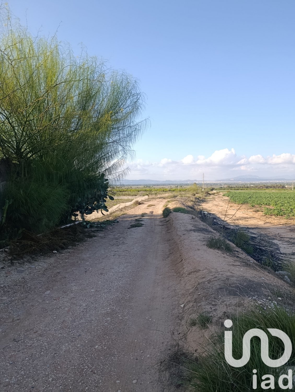 Tontti Elche, Alicante, Espanja 28329 m2 No. 185575