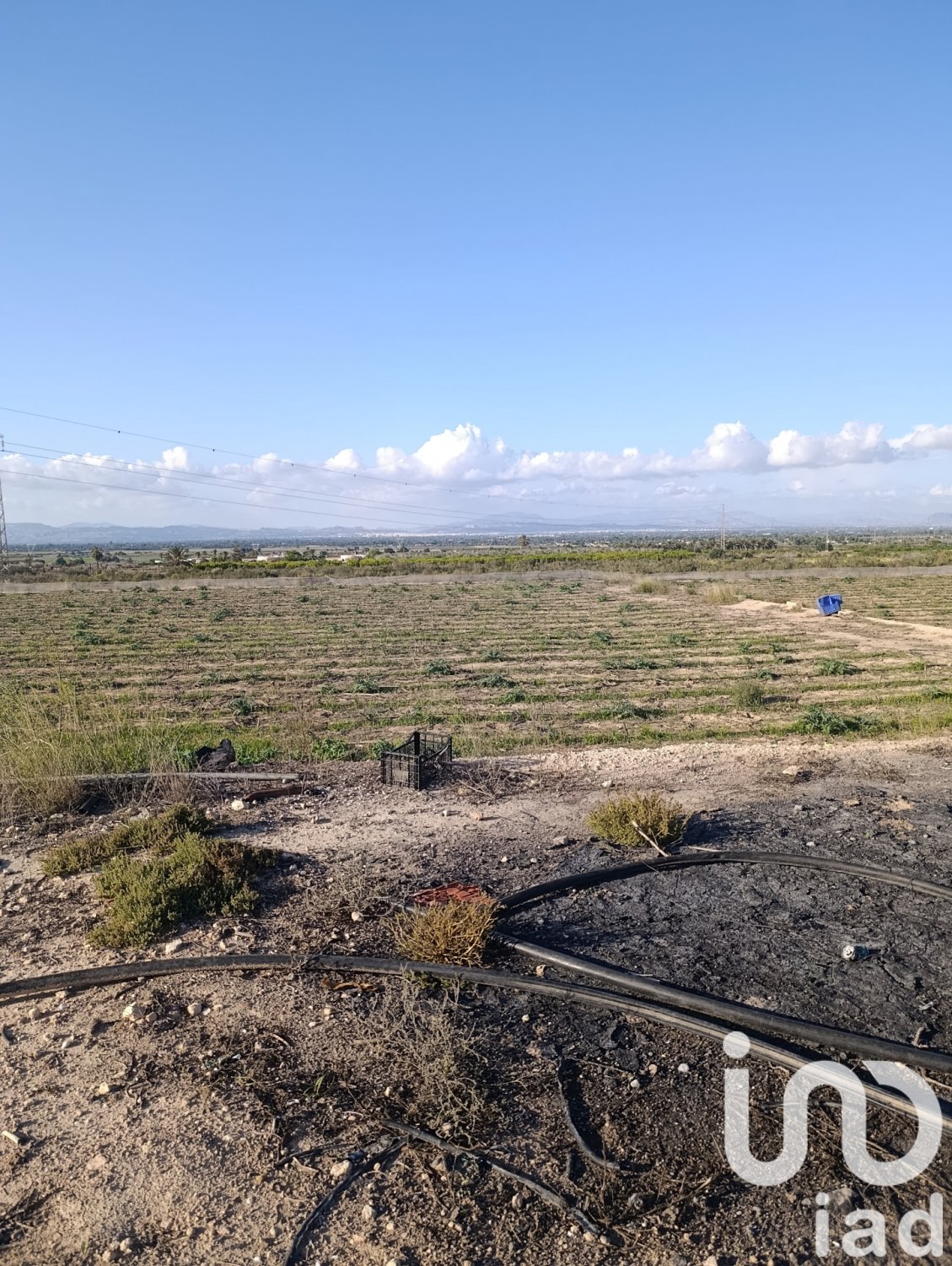 Tontti Elche, Alicante, Espanja 28329 m2 No. 185575