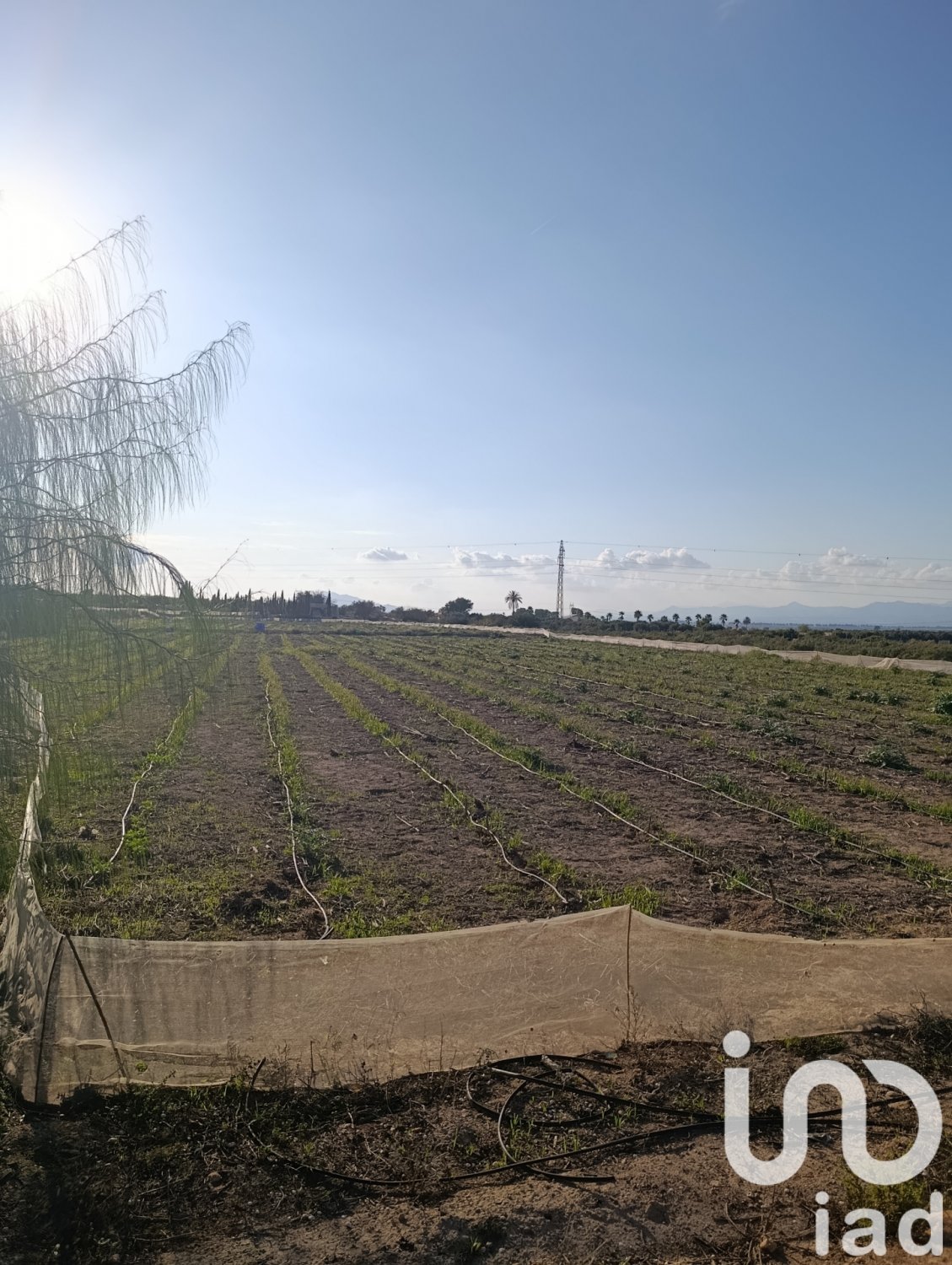 Tontti Elche, Alicante, Espanja 28329 m2 No. 185575