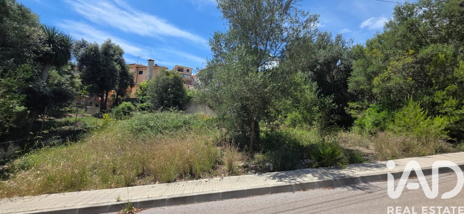 Terreno a Campanet, Mallorca, Spagna 326 mq. N° 172323