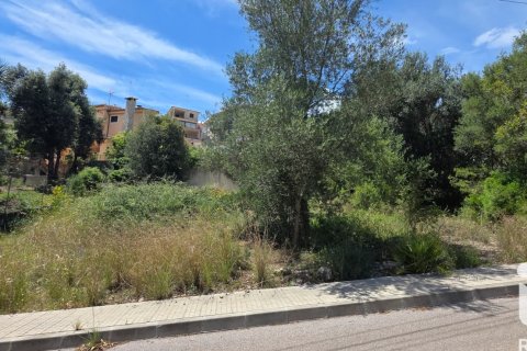 Land plot in Campanet, Mallorca, Spain 326 sq.m. No. 172323