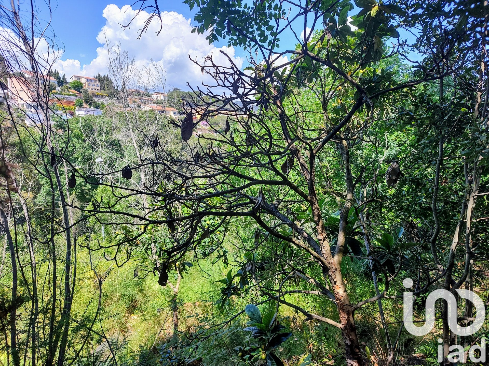 Land plot in Argentona, Barcelona, Spain 2352 sq.m. No. 185900