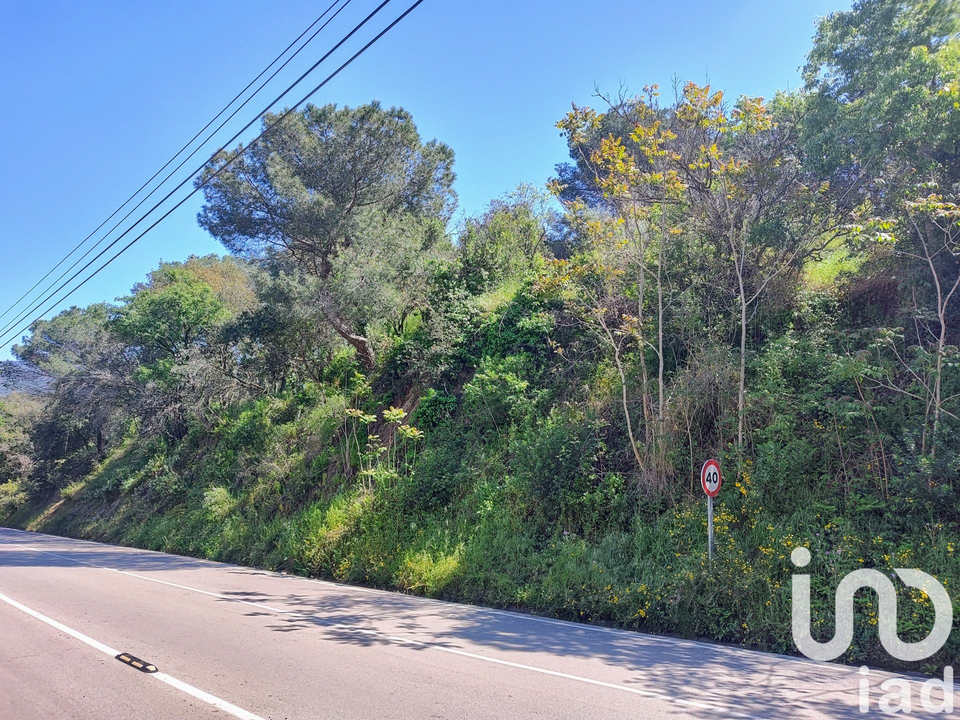 Land plot in Argentona, Barcelona, Spain 2352 sq.m. No. 185900