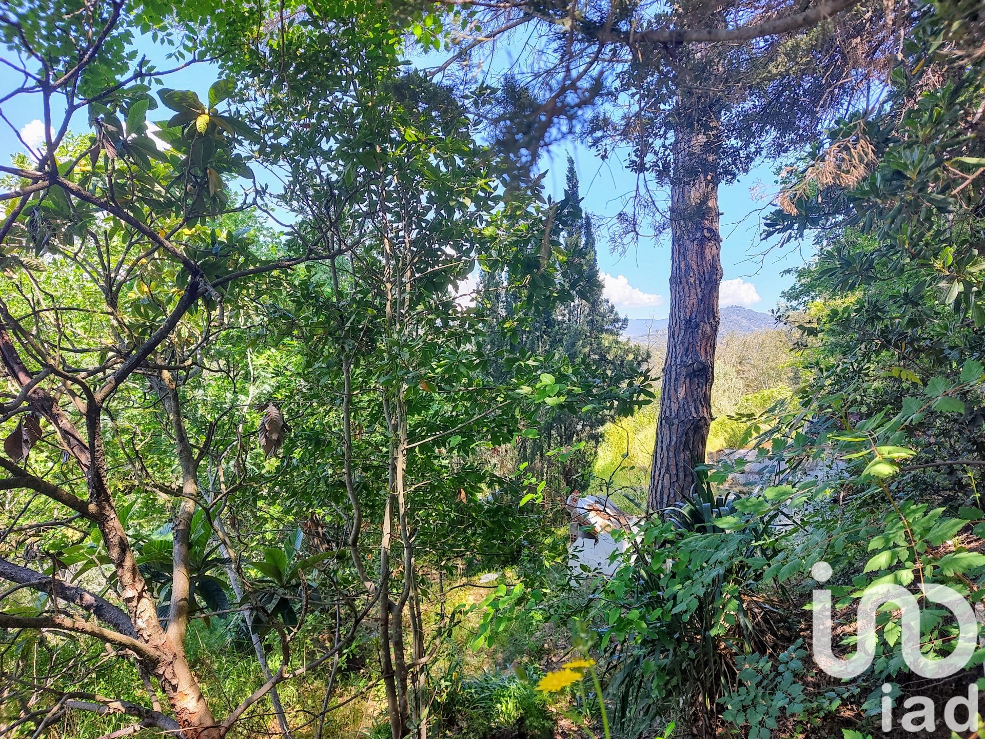 Land plot in Argentona, Barcelona, Spain 2352 sq.m. No. 185900