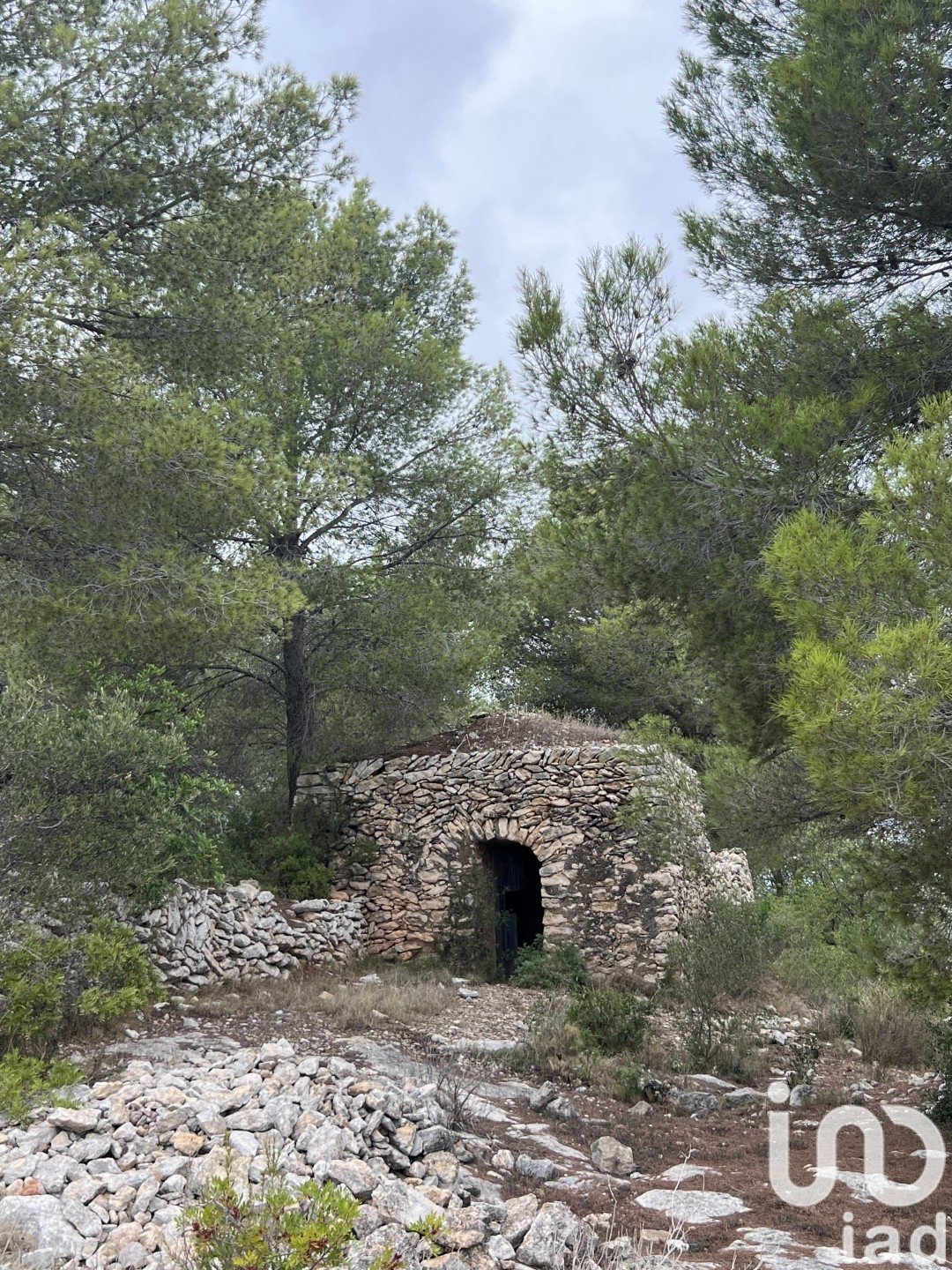 Tomt i Torredembarra, Tarragona, Spanien 100000 kvm. Nr. 185901