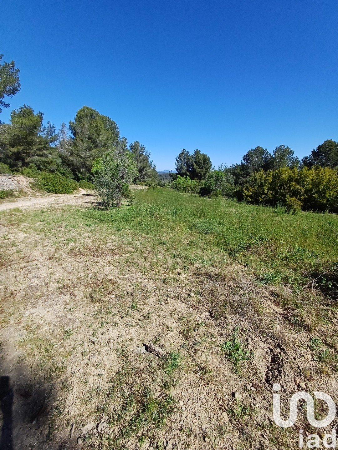 Tomt i Torredembarra, Tarragona, Spanien 100000 kvm. Nr. 185901