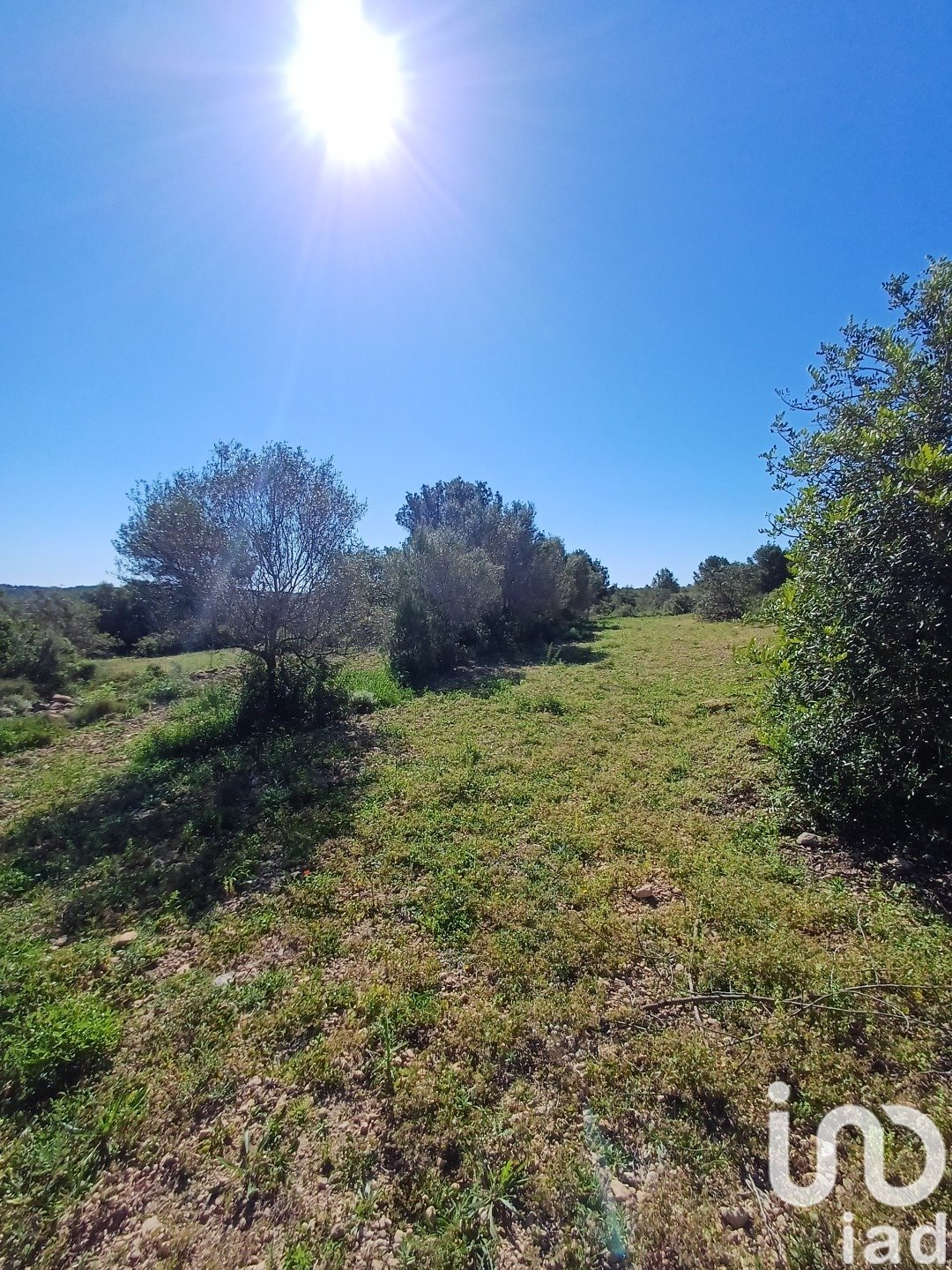 Tomt i Torredembarra, Tarragona, Spanien 100000 kvm. Nr. 185901