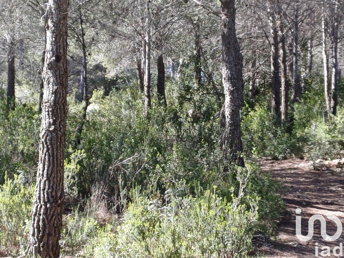 Tomt i Torredembarra, Tarragona, Spanien 100000 kvm. Nr. 185901