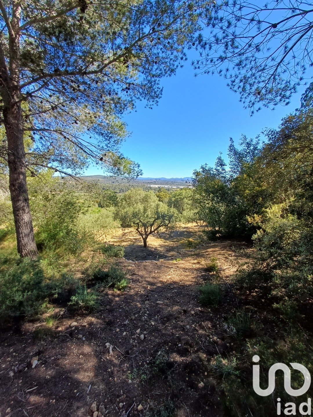 Tomt i Torredembarra, Tarragona, Spanien 100000 kvm. Nr. 185901