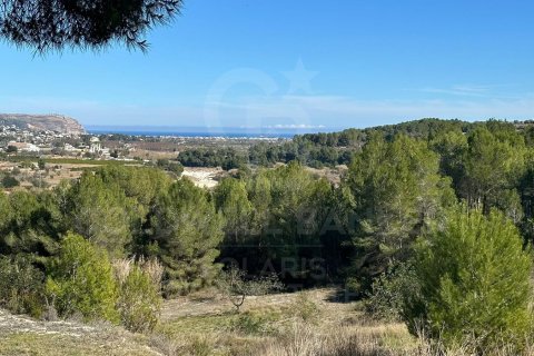 Land plot in Javea, Alicante, Spain 11400 sq.m. No. 157608