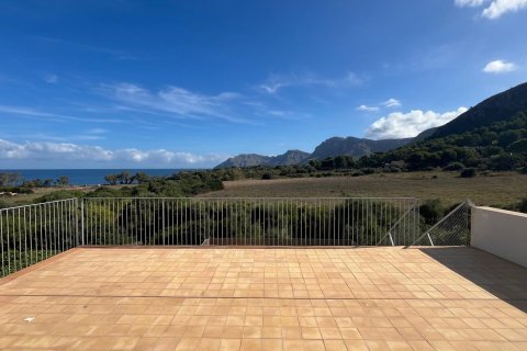 Apartment à Colonia De Sant Pere, Mallorca, Espagne 5 chambres, 390 m2 No. 138847